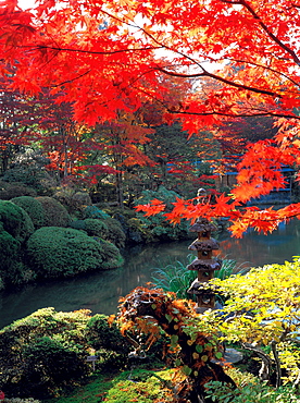 Rinno-Ji Park in the autumn, Nikko, Japan, Asia