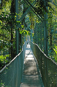 Suspension footbridge. Tirimbina natural reserve where wild birds and animals can be watched, Sarapiqui, Costa Rica, Central America