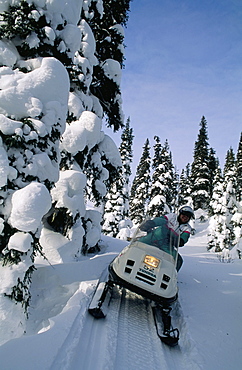 Snowmobile, Sunset Country, Ontario, Canada, North America