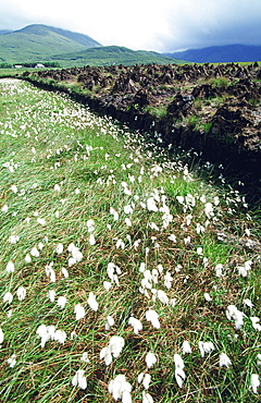 Ireland, Connemara, Peatery