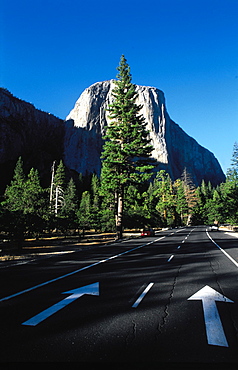 Main Road And Mountains, Yosemite National Park, California, Usa