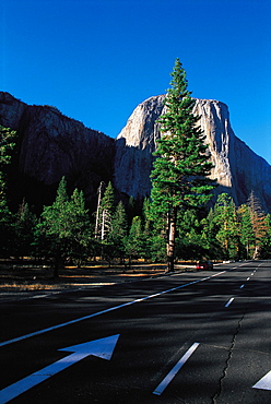 Main Road And Mountains, Yosemite National Park, California, Usa