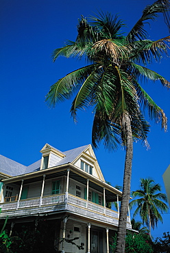 Victorian House And Palm, Key West, Florida, Usa