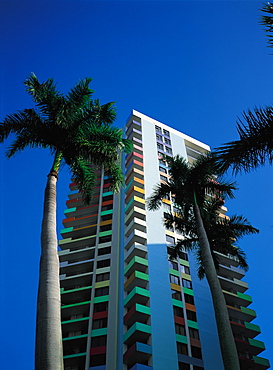 Condos Building And Palms, Miami, Florida, Usa