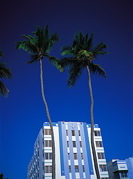 Art Deco Building And Palmes, Miami Beach, Florida, Usa