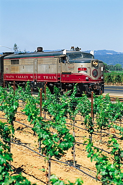 The Napa Railway, Napa Valley, California, Usa