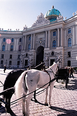 Horses And Carriage At Fore, Hofburg, Vienna, Austria