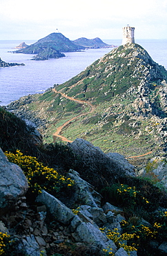 France, Corsica, Ajaccio, Sanguinaires Islands And Genovese Watch Tower