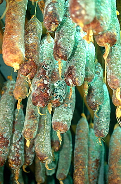 France, Corsica, Castaniccia, Piedicroce, Traditional Charcuterie, Saucisson Hanging For Drying In A Cave