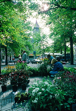 Netherlands, Country, Utrecht, The Flowers Market