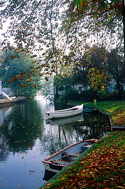 Netherlands, Country, Utrecht (Near), Fall Landscape With Canal