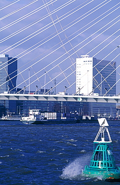 Netherlands, Rotterdam, The New Erasmus Bridge