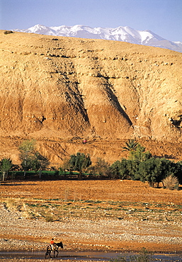 Morocco, Ouarzazate Region, Near Ait Ben Haddou Kasbah (Mud Fortress)Man Riding A Donkey In Oued (River)