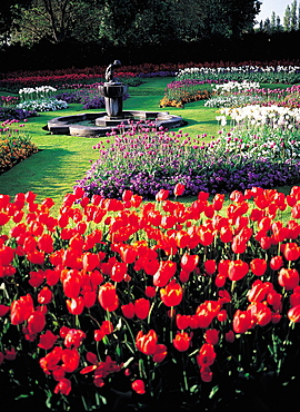 UK, London, St James Park In Spring