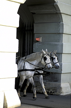 Austria, Vienna, Barouche