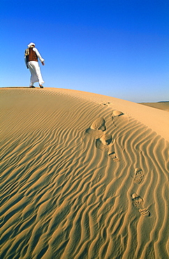 Egypt, The Lybic Desert And Oasis, The Sand Sea Near Siwa, Bedouin Climbing A Dune 