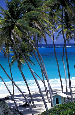 Caribbean, West Indies, Barbados, East Coast, Bottom Bay Beach