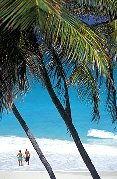 Caribbean, West Indies, Barbados, East Coast, Bottom Bay Beach