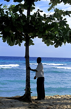 Caribbean, West Indies, Barbados, West Coast, Savannah Beach