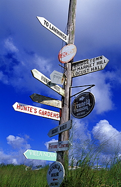 Caribbean, West Indies, Barbados, Pole Bearing Many Signs At Road