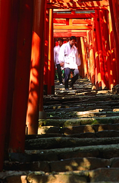 Japan, Tokyo, Akasaka, Senso-Ji Shrine Stairs