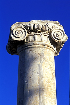 Cyprus, City Of Paphos, The Basilica Ruins, Ionic Capital