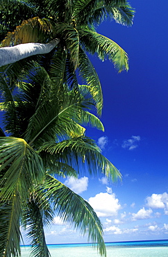 French Polynesia, Tuamotus Archipelago