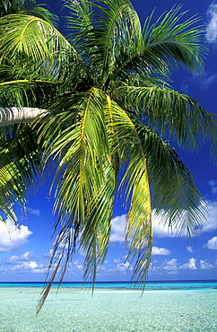 French Polynesia, Tuamotus Archipelago