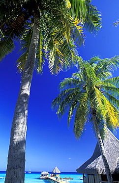 French Polynesia, Tuamotus Archipelago