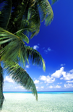 French Polynesia, Tuamotus Archipelago