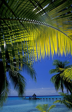 French Polynesia, Tuamotus Archipelago