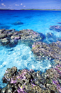 French Polynesia, Tuamotu Archipelago, 