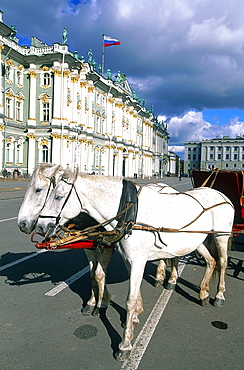 Russia, St-Petersburg, Winter Palace Facade (Hermitage Museum), Carriage And Horse For Renting On The Palace Square