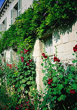 France, To Uraine Val-De-Loire, In Dre-Et-Loire, Typical To Uraine Stone House Facade In Loches