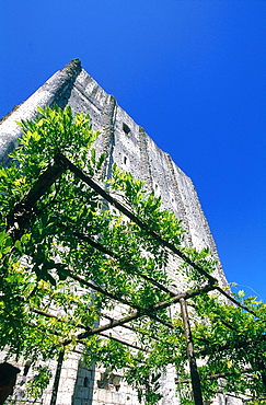 France, To Uraine Val-De-Loire, In Dre-Et-Loire, Loches, The Medieval Castle Ruins, View From Below On The Donjon, Open To Public