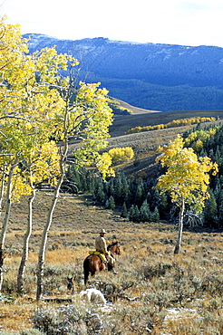 Big Horn mountains, Wyoming, United States of America, North America