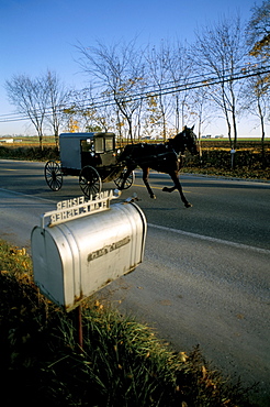 Amish farm, Lancaster, Pennsylvania, United States of America, North America