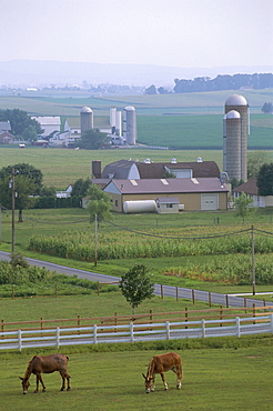 Amish country, Pennsylvania, United States of America, North America