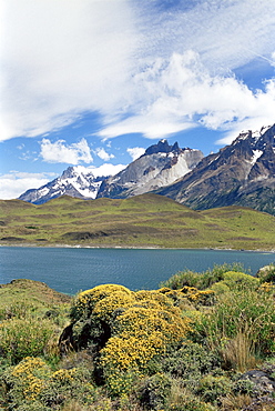 Landscape, Torres del Paine National Park, Patagonia, Chile, South America