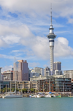 Sky Tower and harbour, Auckland, North Island, New Zealand, Pacific 