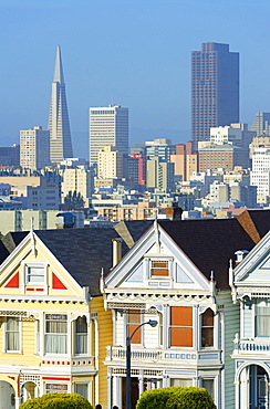 The Painted Ladies, Alamo Square, San Francisco, California, United States of America, North America