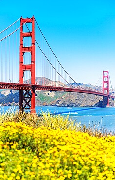 View of Golden Gate Bridge, San Francisco, California, United States of America, North America