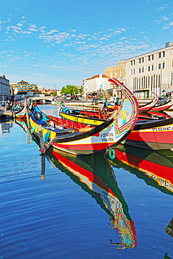 Moliceiro boats floating on Aveiro main canal, Aveiro, Portugal