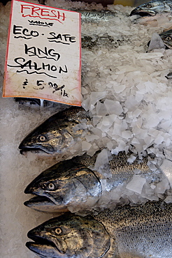 Fish for sale in Pike Market, Public Market Center, Seattle, Washington State, United States of America, North America