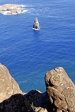 Petroglyphs beside the lake in a crater at Orongo, Easter Island, Chile, South America