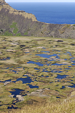 Lake in crater, Orongo, Easter Island, Chile, South America