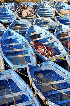 The old fishing port, Essaouira, historic city of Mogador, Morocco, North Africa, Africa