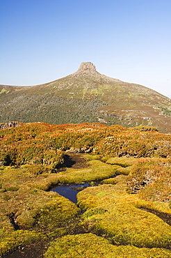 View from Mount Ossa, 1617m, Tasmania's highest mountain on the Overland Track, Cradle Mountain Lake St. Clair National Park, part of Tasmanian Wilderness, UNESCO World Heritage Site, Tasmania, Australia, Pacific