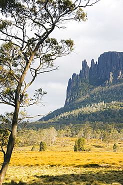 Mount Oakleigh at New Pelion on the Overland Track, Cradle Mountain Lake St. Clair National Park, part of Tasmanian Wilderness, UNESCO World Heritage Site, Tasmania, Australia, Pacific