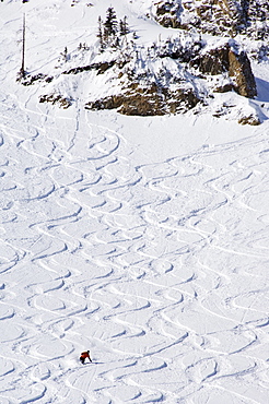 Skiers making early tracks after fresh snow fall at Alta Ski Resort, one of the resorts in America where only skiers are allowed, Salt Lake City, Utah, United States of America, North America